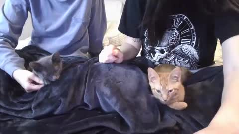 Goddess Raven online show from 12-06-24, 11:47