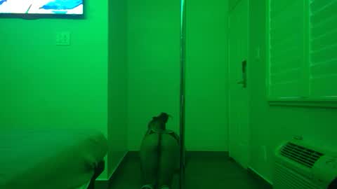 Snapshot of gogetter4life213 chatting on 02-02-25, 04:32 gogetter4life213 online show from 02-02-25, 04:32