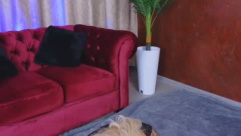 GoldenAmberX online show from 01-29-25, 05:19