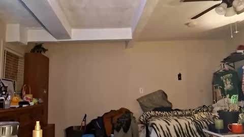 Snapshot of gonr369 chatting on 02-17-26, 12:18 gonr369 online show from 02-17-26, 12:18