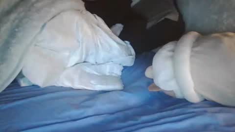 goodbiddings online show from 01-04-25, 11:38