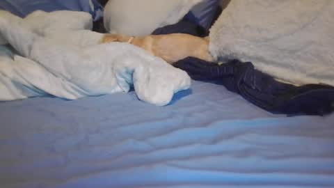 goodbiddings online show from 03-12-25, 06:00