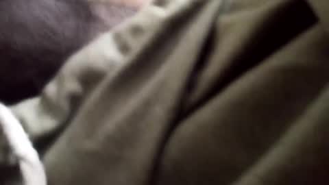 Arab Pronstar online show from 01-05-25, 09:25