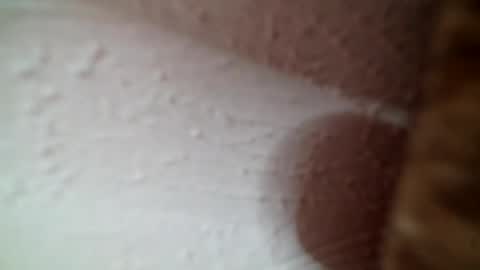 Greedy Good Girl online show from 07-24-26, 06:22