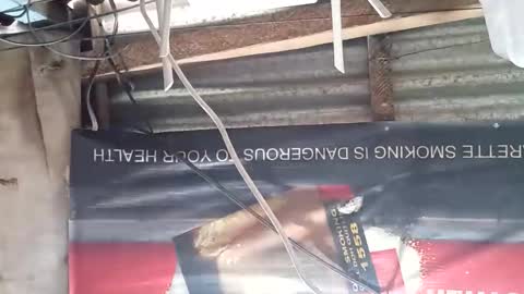 Snapshot of gorgeouspinay_babe chatting on 11-22-25, 11:37 GorgeousPinay babe online show from 11-22-25, 11:37