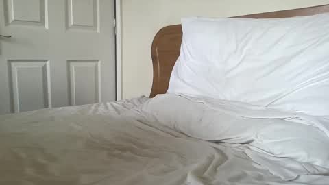 Dillan Diamonds online show from 03-04-25, 08:35