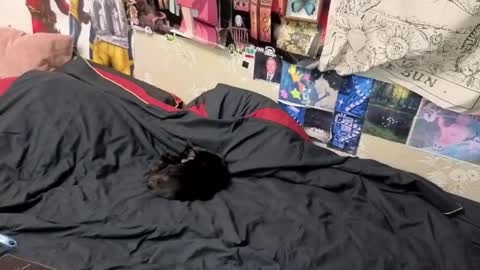 Amy online show from 11-07-25, 08:42