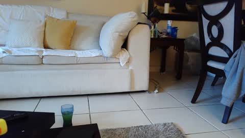 gothbaby305 online show from 09-16-25, 05:58