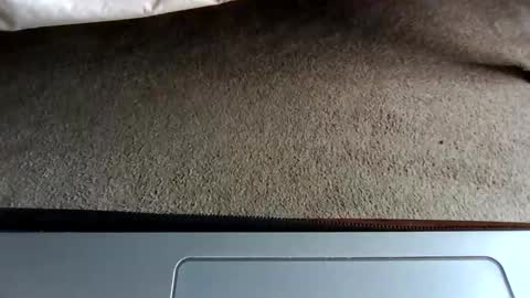 watch me stroke online show from 05-03-26, 08:37