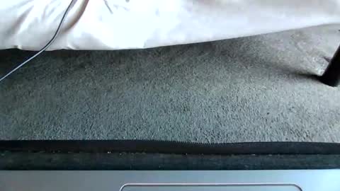 watch me stroke online show from 05-10-26, 11:04