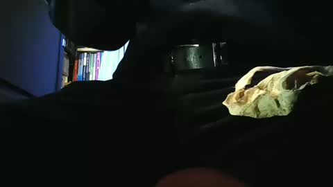 Snapshot of grapefruit chatting on 03-11-26, 09:48 grapefruit online show from 03-11-26, 09:48