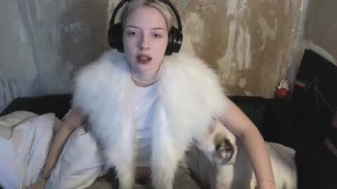 graylovescookies online show from 12-19-24, 10:45