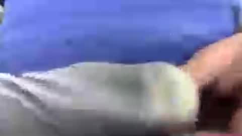 gr8head online show from 07-31-26, 10:47