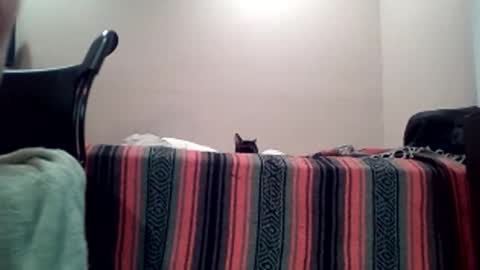 Jack online show from 04-11-26, 07:45