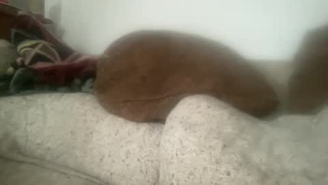 Sonny online show from 12-21-25, 06:04