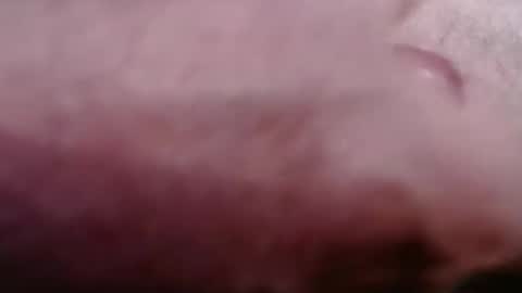 Greg online show from 02-21-26, 08:43