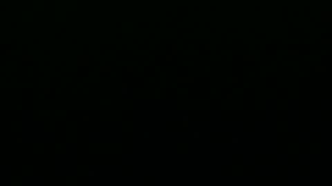 Snapshot of greyfox_6000 chatting on 02-25-25, 04:21 greyfox_6000 online show from 02-25-25, 04:21