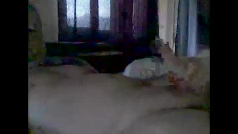 grittslappa online show from 11-14-25, 12:42