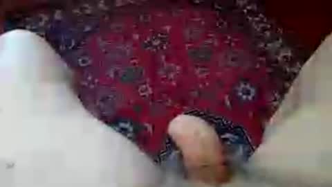 Snapshot of grosseto1234 chatting on 07-07-26, 04:00 grosseto1234 online show from 07-07-26, 04:00