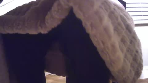 Snapshot of grower2153 chatting on 11-24-25, 12:05 grower2153 online show from 11-24-25, 12:05