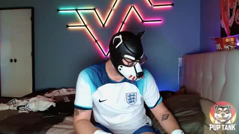 Snapshot of growingcub94 chatting on 11-01-25, 07:16 Alpha pup online show from 11-01-25, 07:16