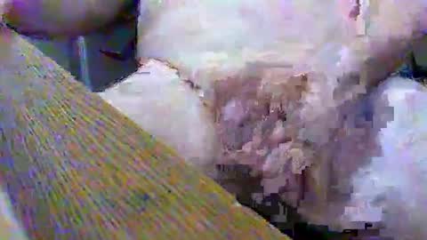 Gary online show from 02-02-25, 03:39