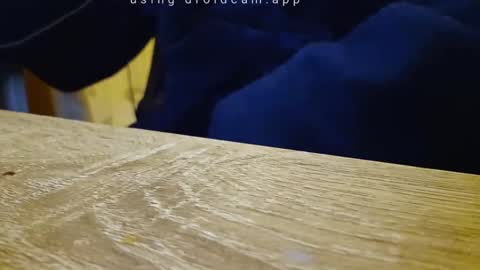 Snapshot of gullu8979 chatting on 09-18-25, 10:56 Franky online show from 09-18-25, 10:56