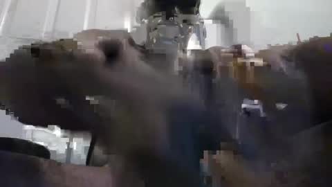 guywithacam2 online show from 02-28-25, 04:43