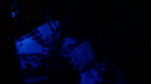 H2omygod online show from 01-25-25, 09:26