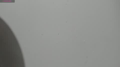 Hailey online show from 03-04-26, 10:16