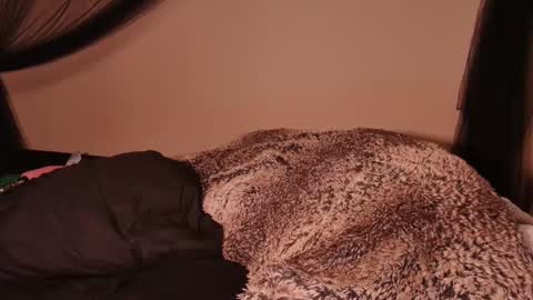 HailWilds online show from 03-01-25, 02:59