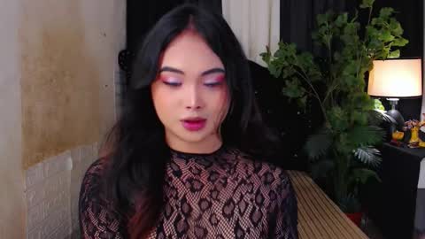 haily online show from 11-12-25, 02:12