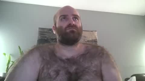 Hairiest Bear online show from 12-23-25, 07:50