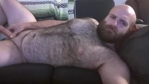 Hairiest Bear online show from 06-27-26, 08:30