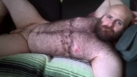 Hairiest Bear online show from 08-01-26, 08:08