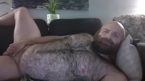 Hairiest Bear online show from 08-09-26, 05:23