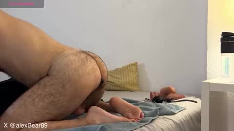 hairyarabbear online show from 12-02-25, 11:34