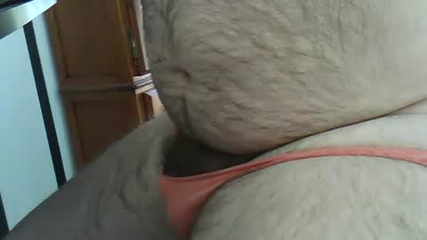 hairybeary1 online show from 05-21-26, 03:08