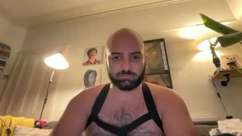 Hairy Guy online show from 02-16-26, 09:44