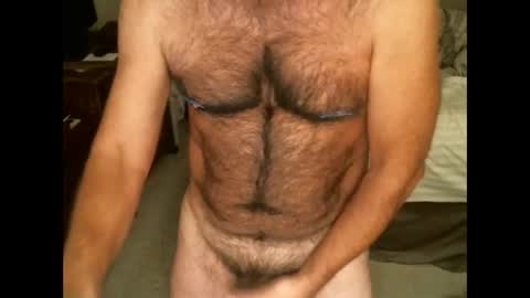 Hairy pecs online show from 11-20-25, 08:47