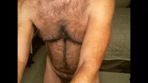 Hairy pecs online show from 11-28-25, 08:39