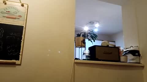 hakfin666 online show from 01-31-25, 07:07