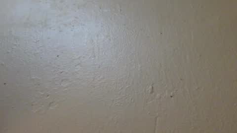 hamhead71 online show from 01-27-25, 06:52