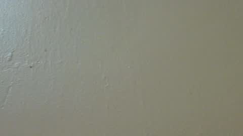 hamhead71 online show from 02-04-25, 09:52