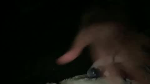 Snapshot of hammer1960 chatting on 03-23-26, 03:32 relax online show from 03-23-26, 03:32