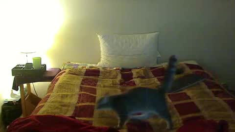 hammerthatthang73 online show from 11-03-25, 01:29