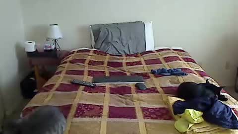 hammerthatthang73 online show from 03-17-26, 05:05