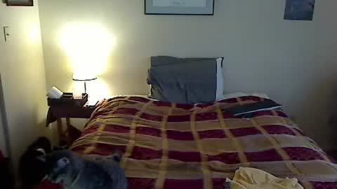 hammerthatthang73 online show from 03-20-26, 10:14