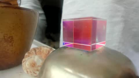 handncocknocum online show from 12-26-24, 01:54