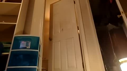 Snapshot of handydick7373 chatting on 12-24-24, 01:49 Handydick7373 online show from 12-24-24, 01:49